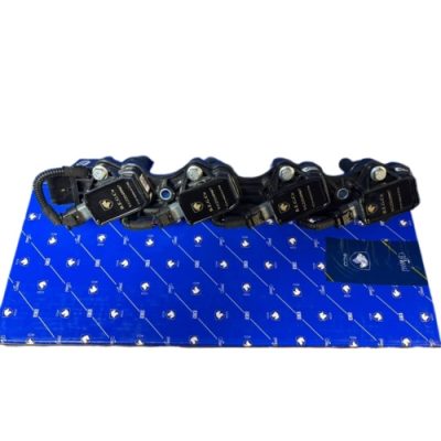 کوئل رانایی ایساکو