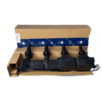 کوئل موتور tu5 ایساکو